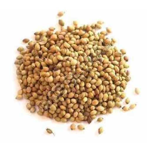 Coriander Seed